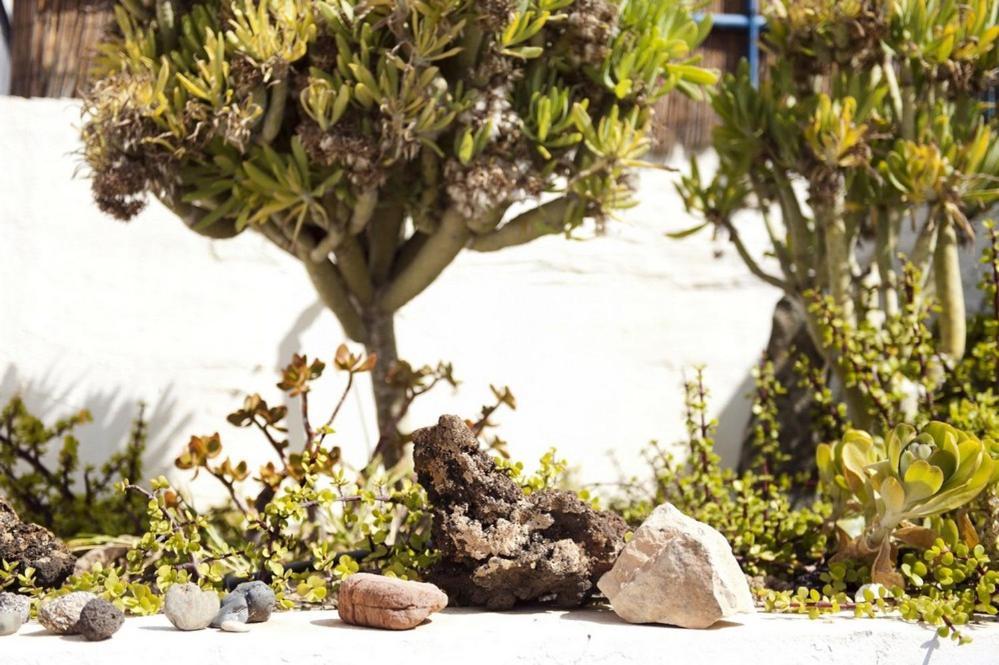 Holidays In Tarajalejo - Home Office With Sea View Exterior foto